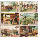 1909 - Liebig Sang. 952 - La coltivazione del cotone